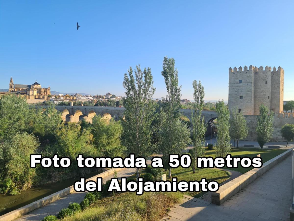 Albolafia Junto Puente Romano Córdoba Eksteriør billede
